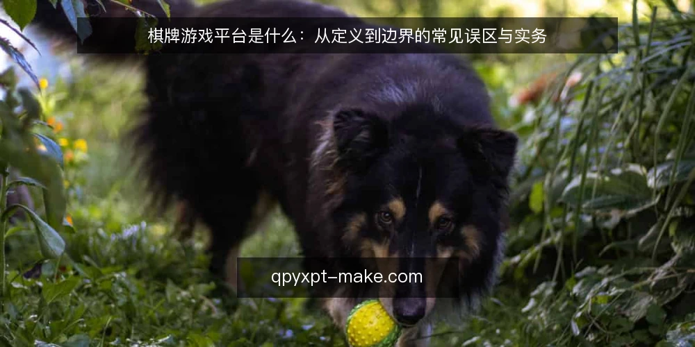 棋牌游戏平台是什么：从定义到边界的常见误区与实务 — 棋牌游戏平台到底指什么 配图